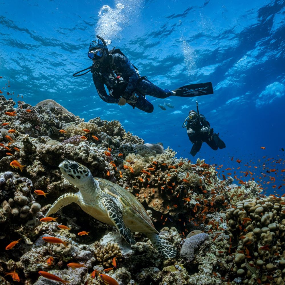 New diver smiling underwater during first experience