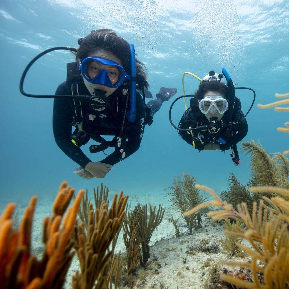 Relaxed beginner scuba session