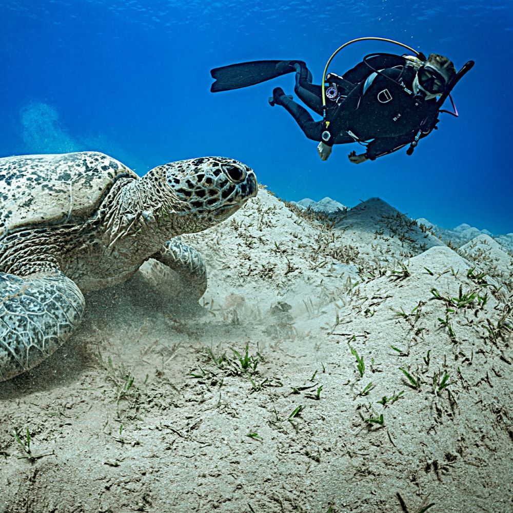 Beginner scuba student practicing underwater skills