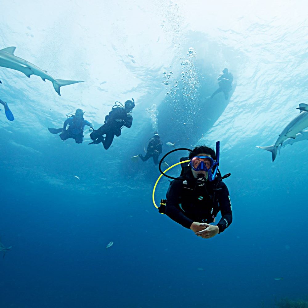New scuba diver surfacing happily after practice