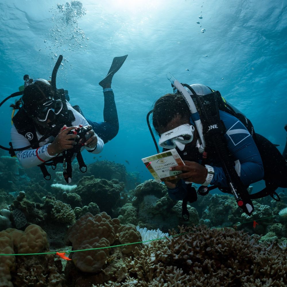 Beginner divers with instructor in Michigan