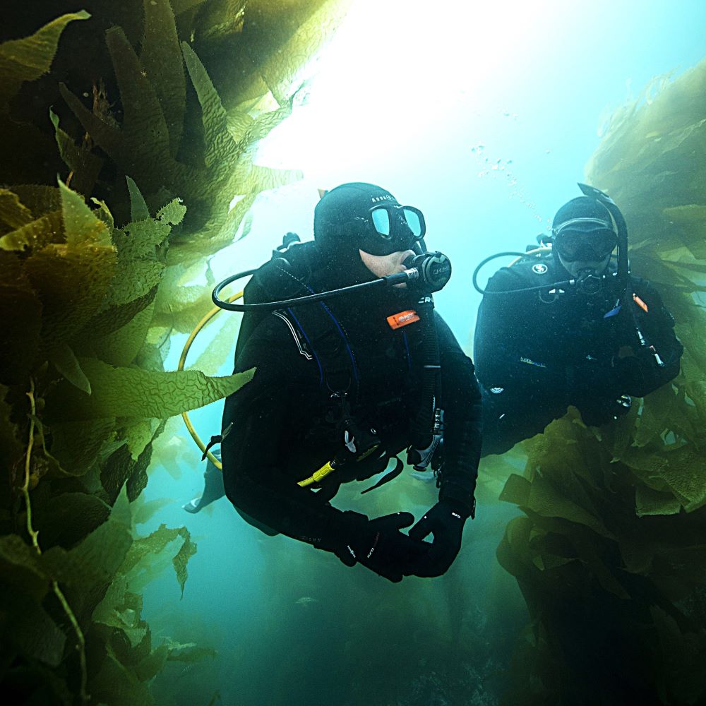 Beginner diver training with instructor